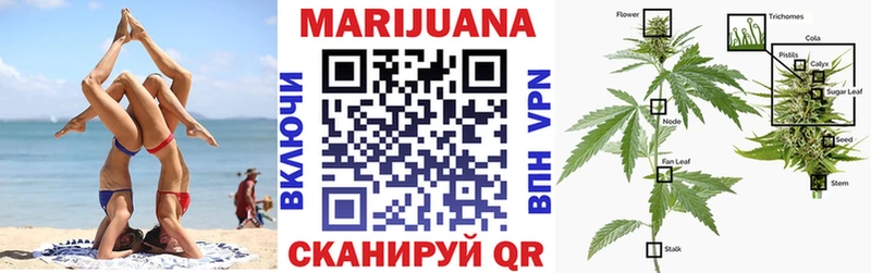 Купить где  Ростов-на-Дону  МАРИХУАНА гибрид 